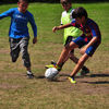 DSC_6096-Kopie.jpg
